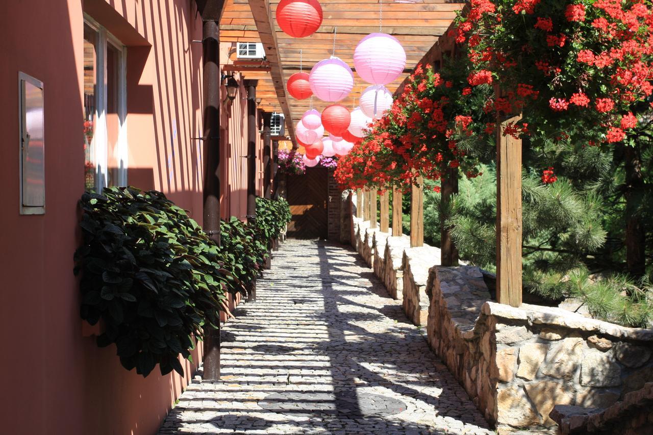 Hotel Restauracja Pustelnik Wisla Mala Exterior foto